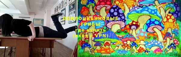 MDMA Premium VHQ Абинск
