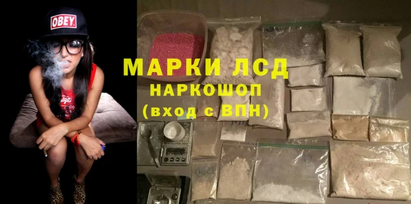 гидра Алексин